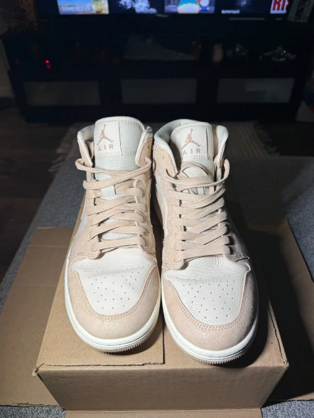 Jordan 1 Mid SE